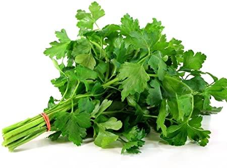 Plain Parsley Fresh Farms