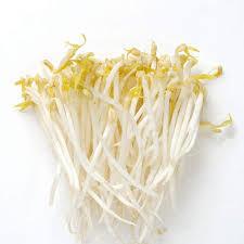 Bean Sprouts Fresh Farms